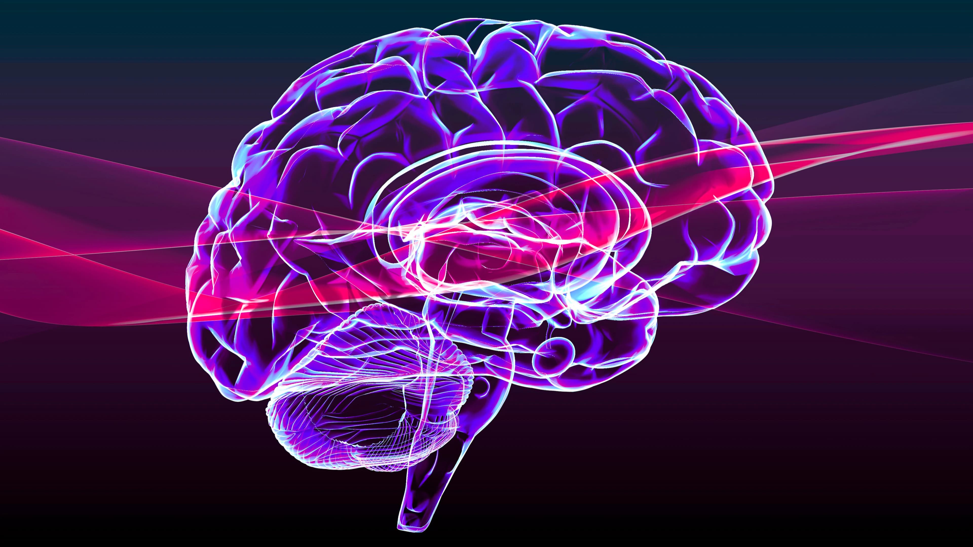 How Growth Mindset Rewires Nashville Leaders' Brains