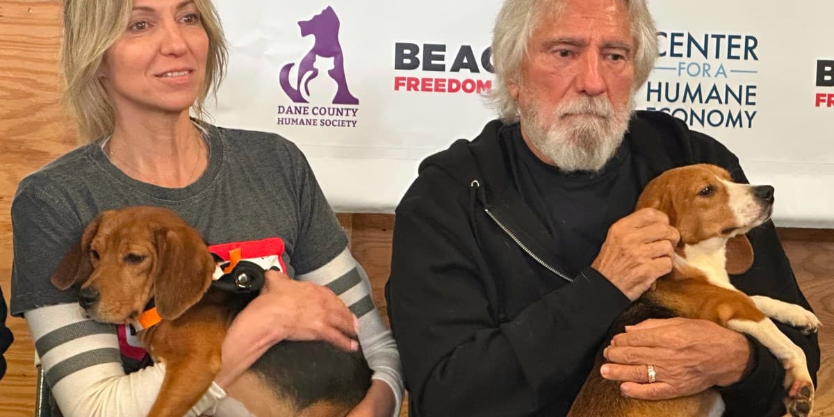 Rock Legend, Pop Icon Rally Support for Rescued Lab Beagles