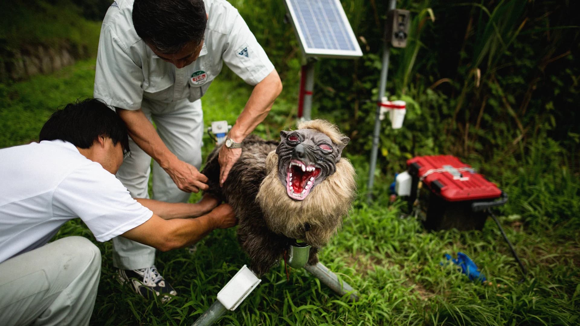 Japanese Robot Wolf Technology Offers New Animal Control Solutions