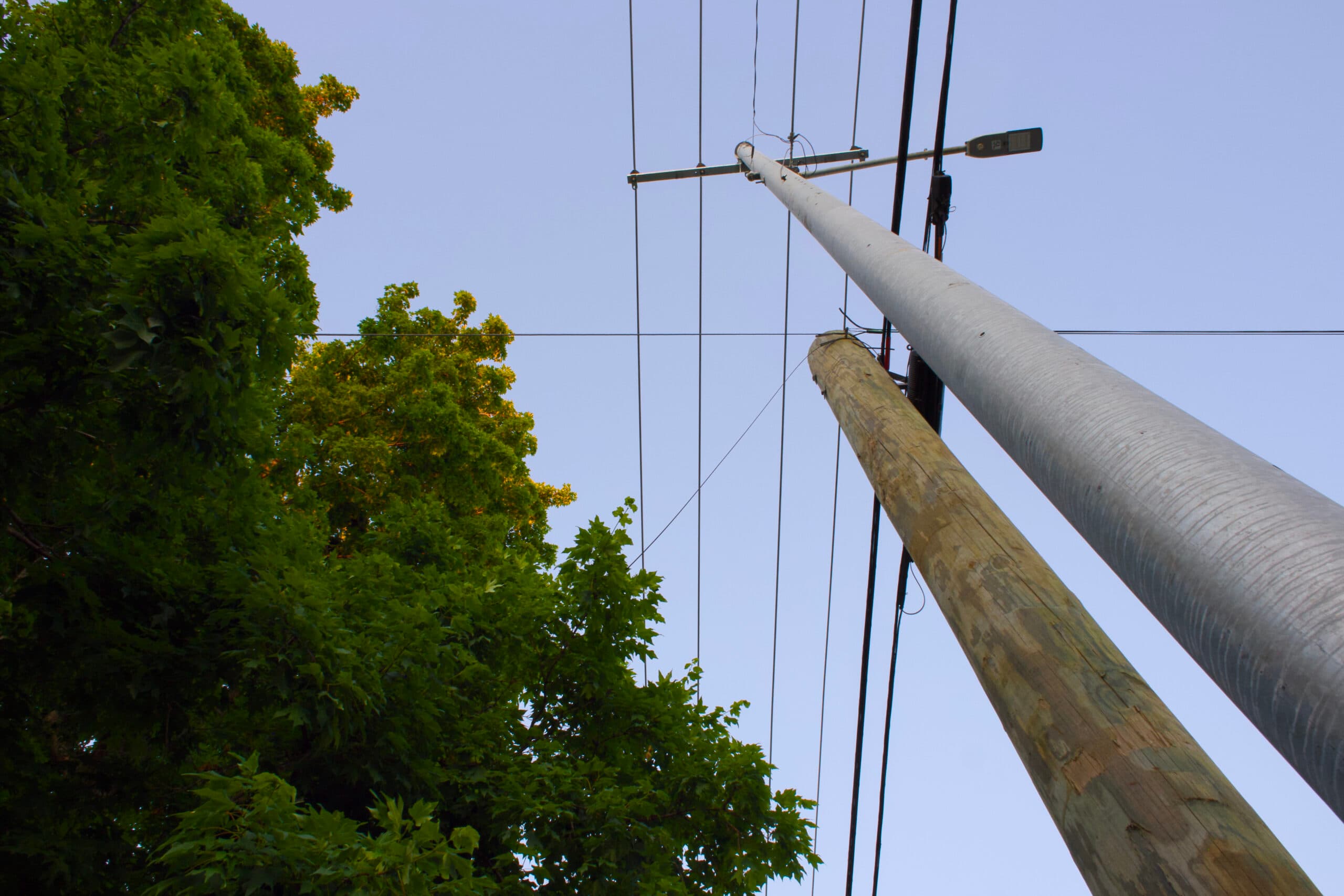 NES Expands Tree Trimming Policy to Prevent Future Outages