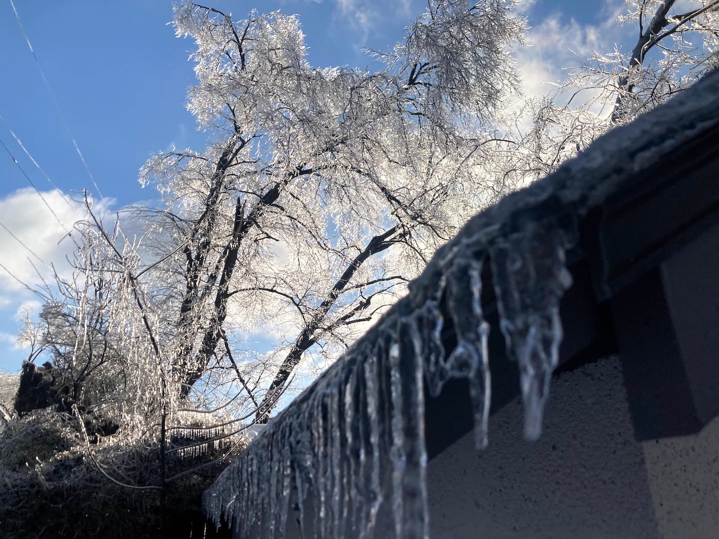 June 10 Deadline Looms for Nashville-Area Ice Storm FEMA Aid