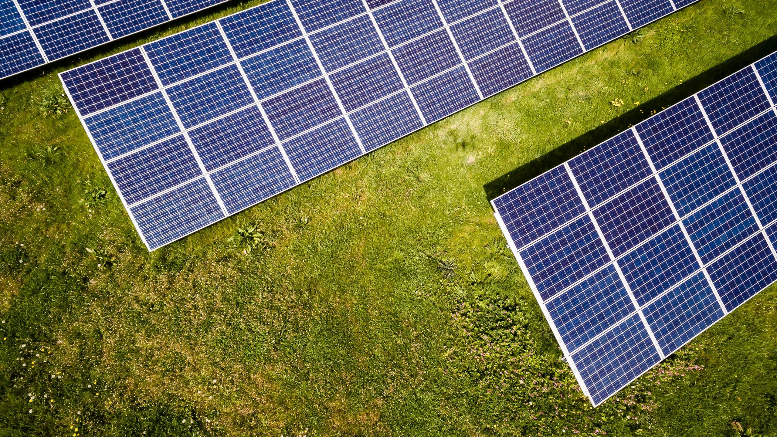 Tennessee Lags Behind on Renewable Energy—What It Means for Business