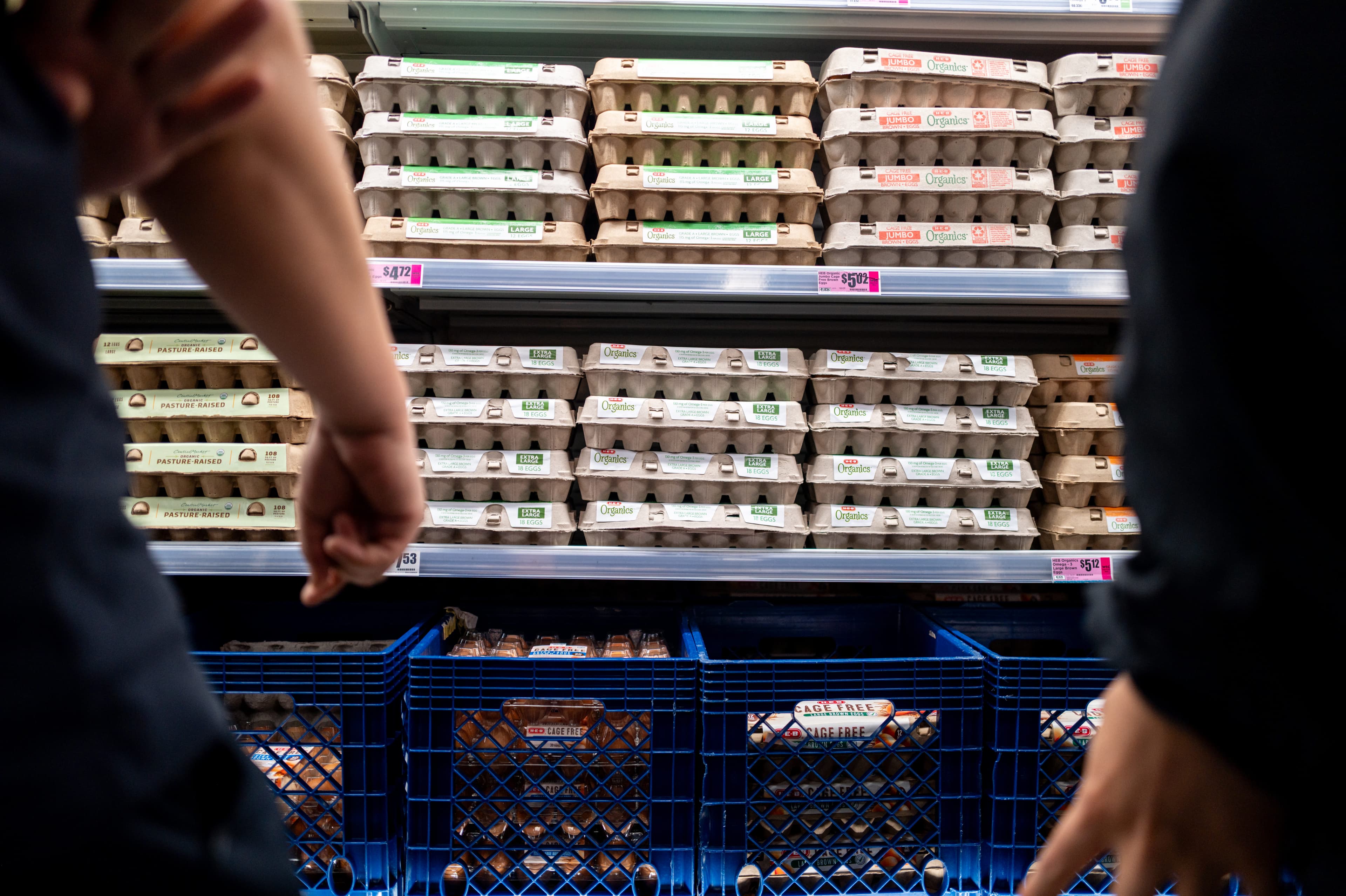 Egg Market Faces Margin Squeeze as Supply Rebounds