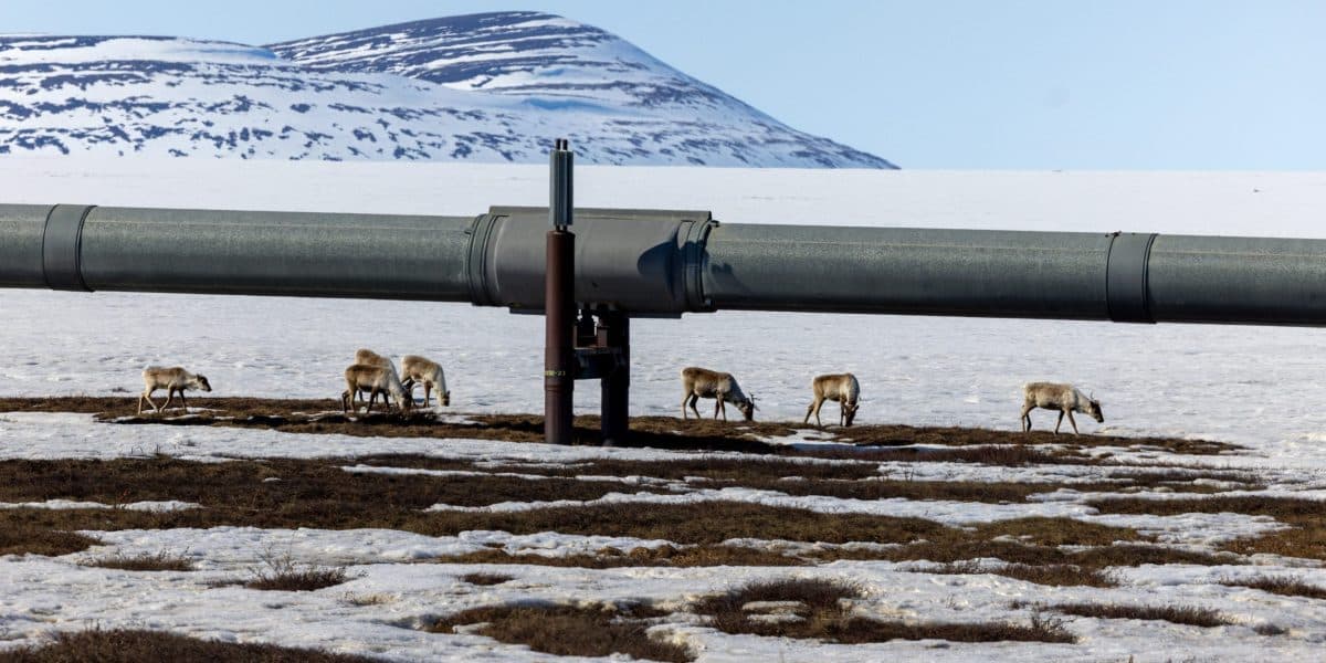 Alaska's Oil Boom May Signal Broader Energy Market Shifts