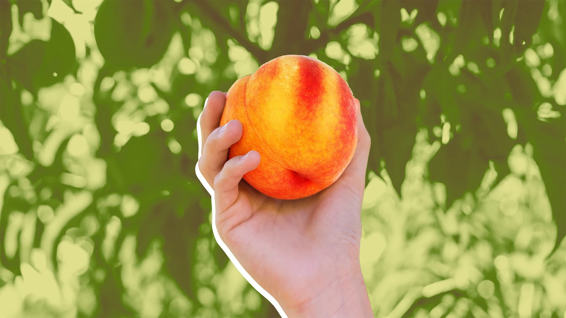 Peach Supply Crisis Could Squeeze Georgia's Agricultural Economy