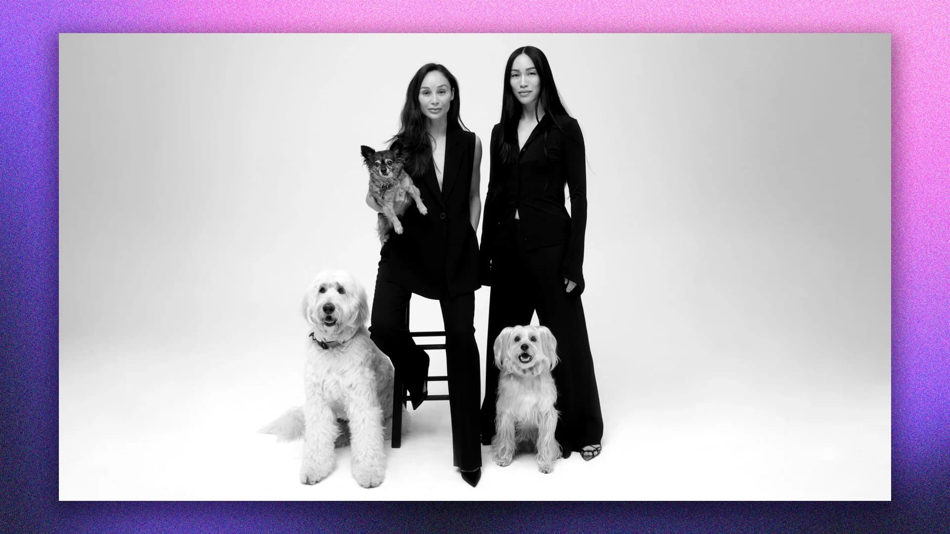 Clean Beauty Trends Move Into Pet Care Market