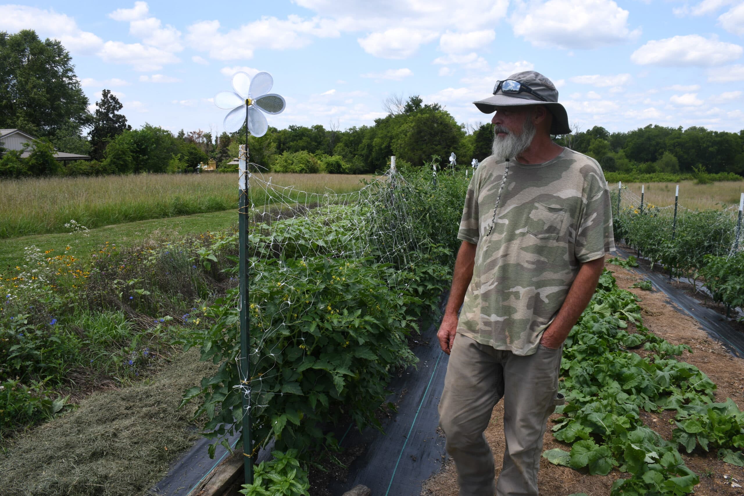 Tennessee Hemp Ban Forces Local Retailers to Rethink Strategy