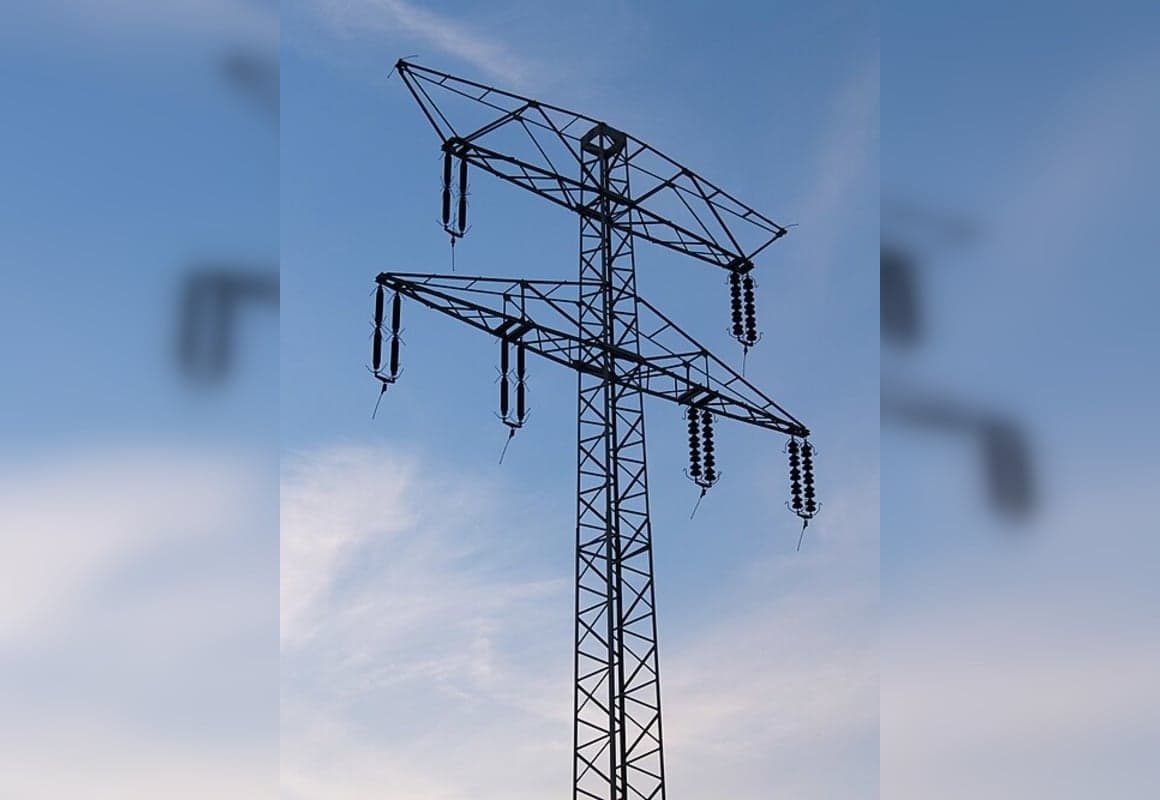 Wildlife Incident Temporarily Disrupts Power to North Nashville