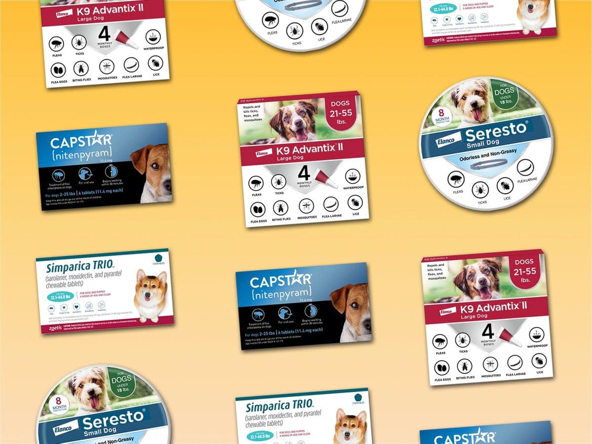 Veterinary-Backed Pet Parasite Solutions for Nashville Pet Owners