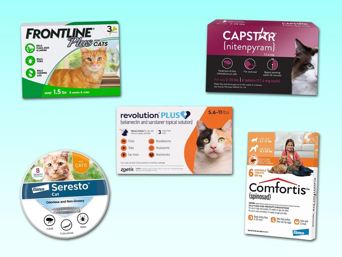 Veterinary Guide: Selecting Safe Flea and Tick Treatments for Cats