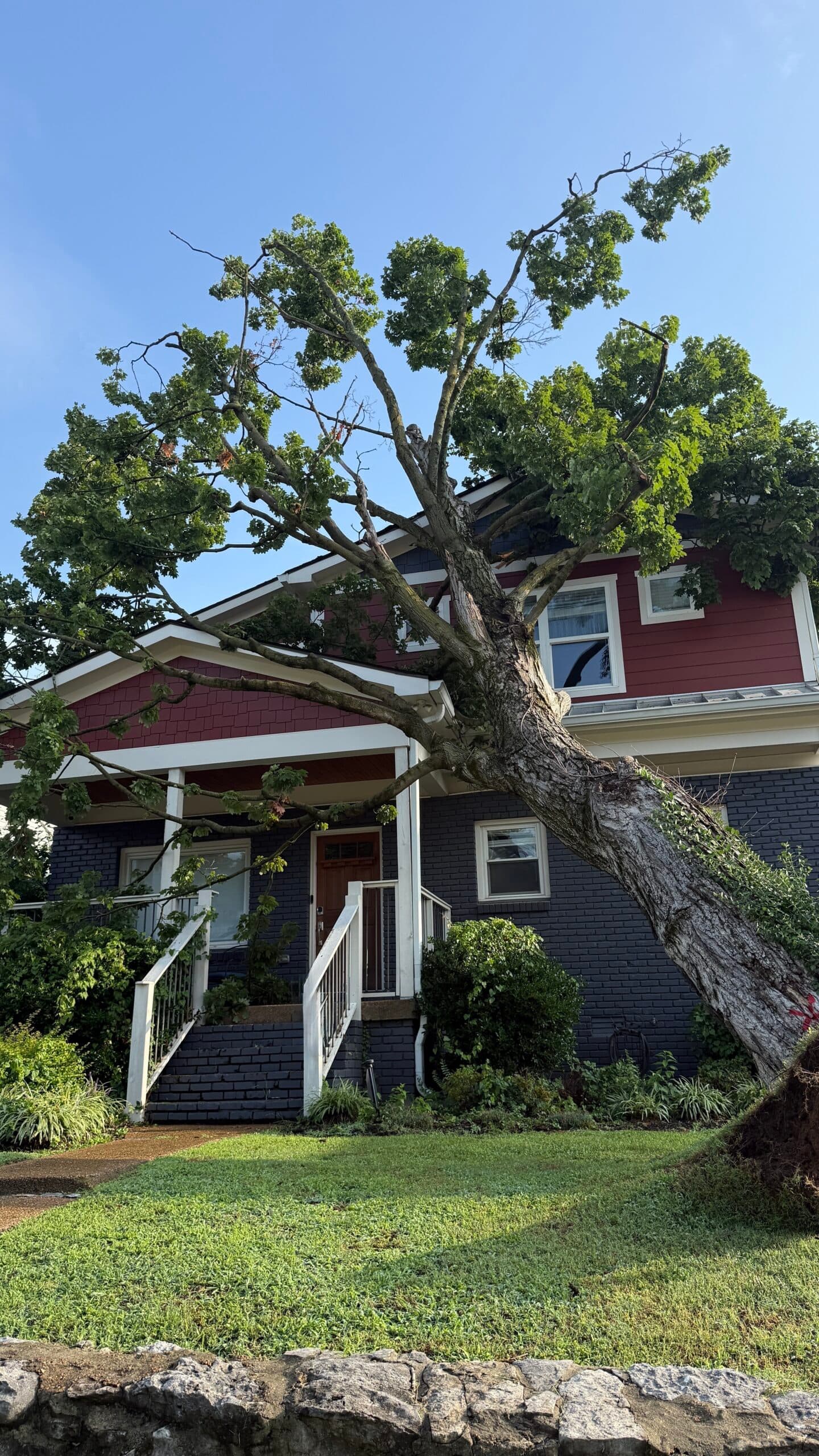 NES Tree-Trimming Policy Sparks Property Damage Concerns