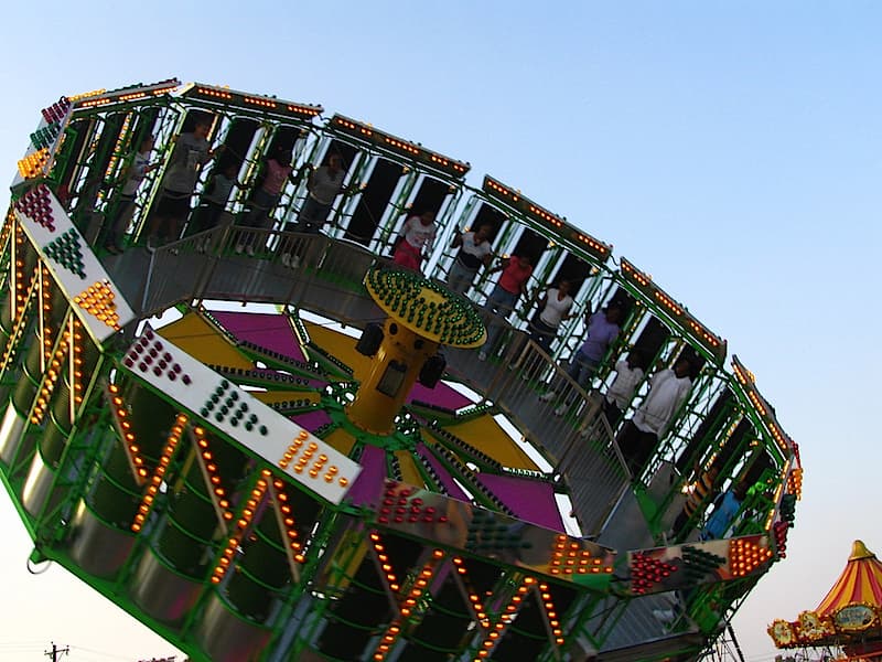 Tennessee State Fair Debuts Timber Calling Contest
