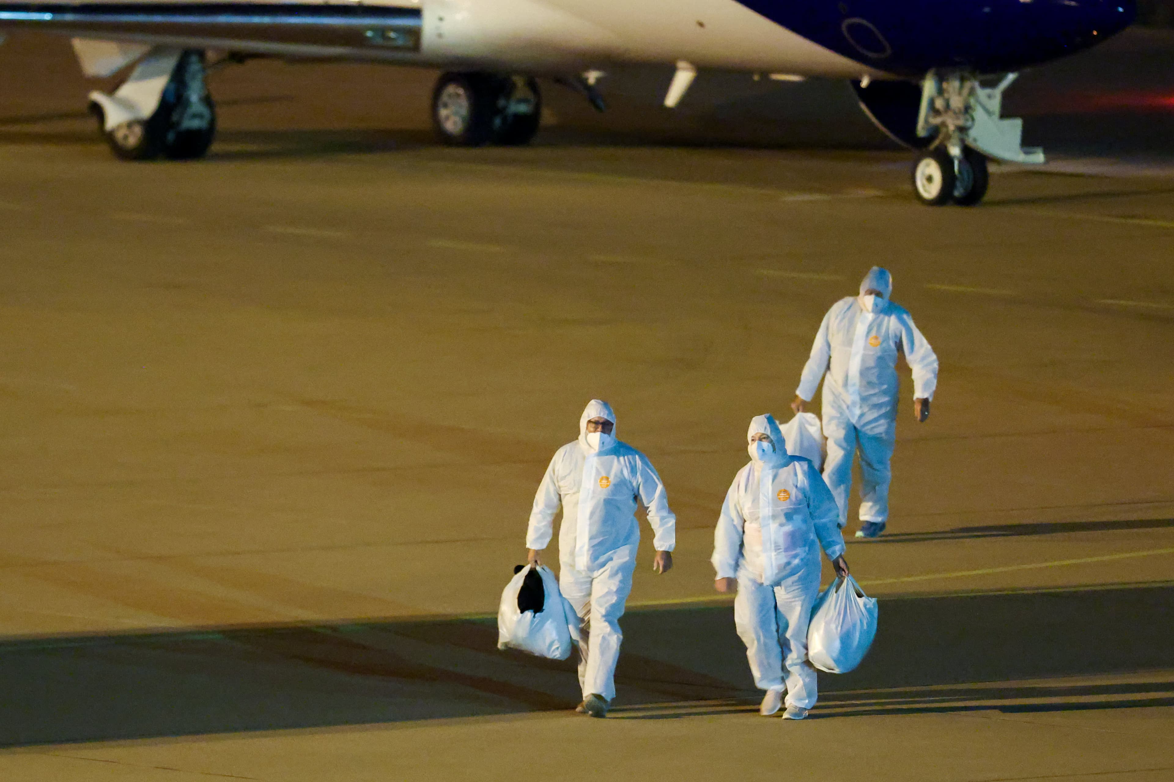 Hantavirus Outbreak Tests U.S. Disease Response Systems