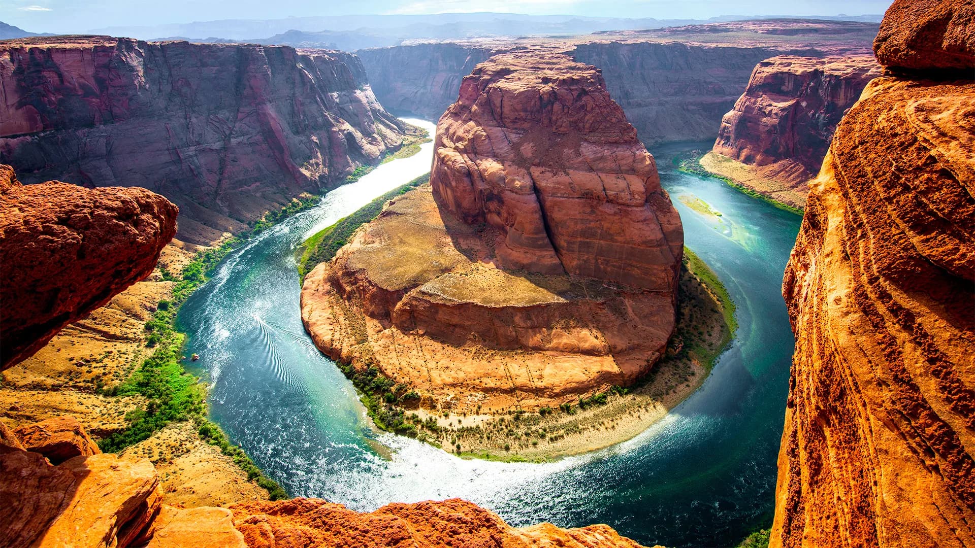 Reading the Current: A Leadership Lesson from Nature