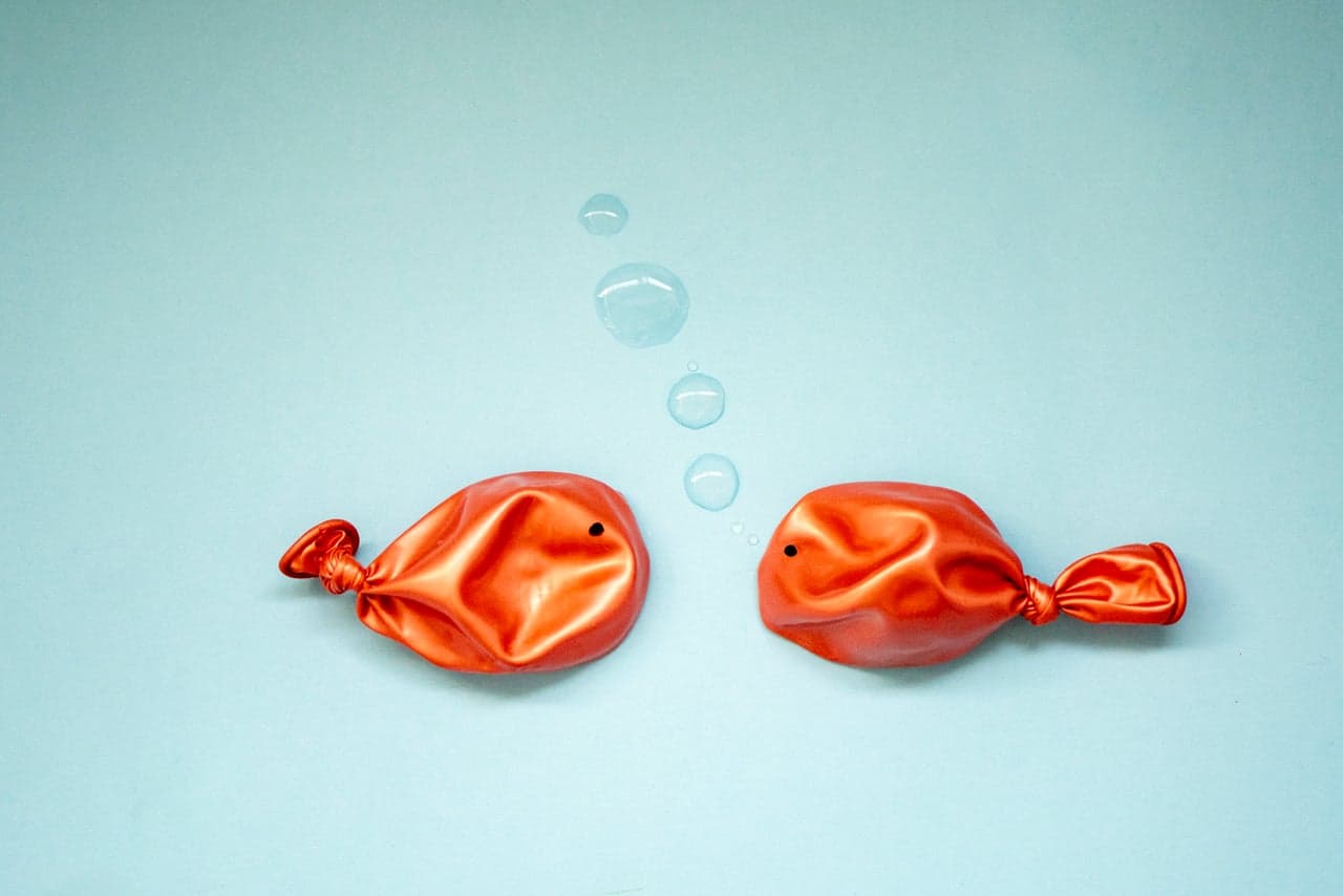 5 Brand-Building Lessons from an Unlikely Teacher