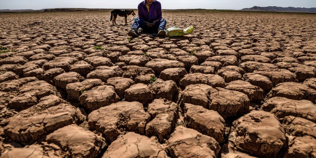 Super El Niño Could Reshape Nashville's Climate and Business Landscape