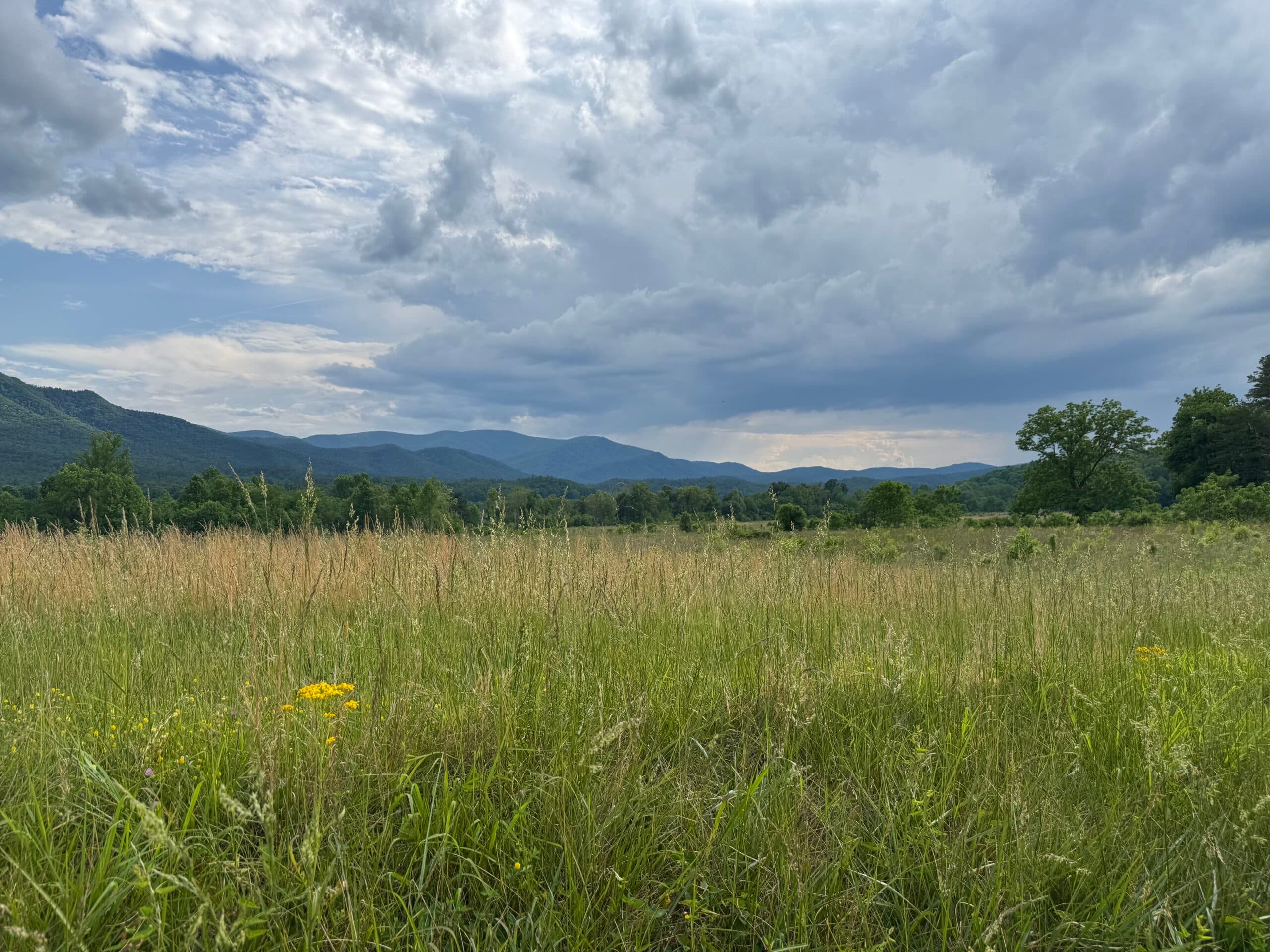 Tennessee's Persistent Drought Poses Business Risks Despite Recent Relief