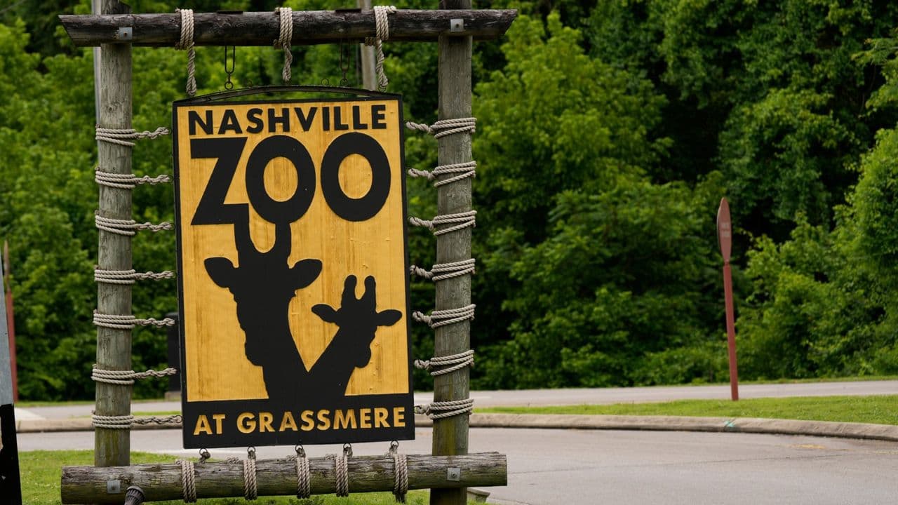 Nashville Zoo Joins Community Opposition to Data Center Expansion