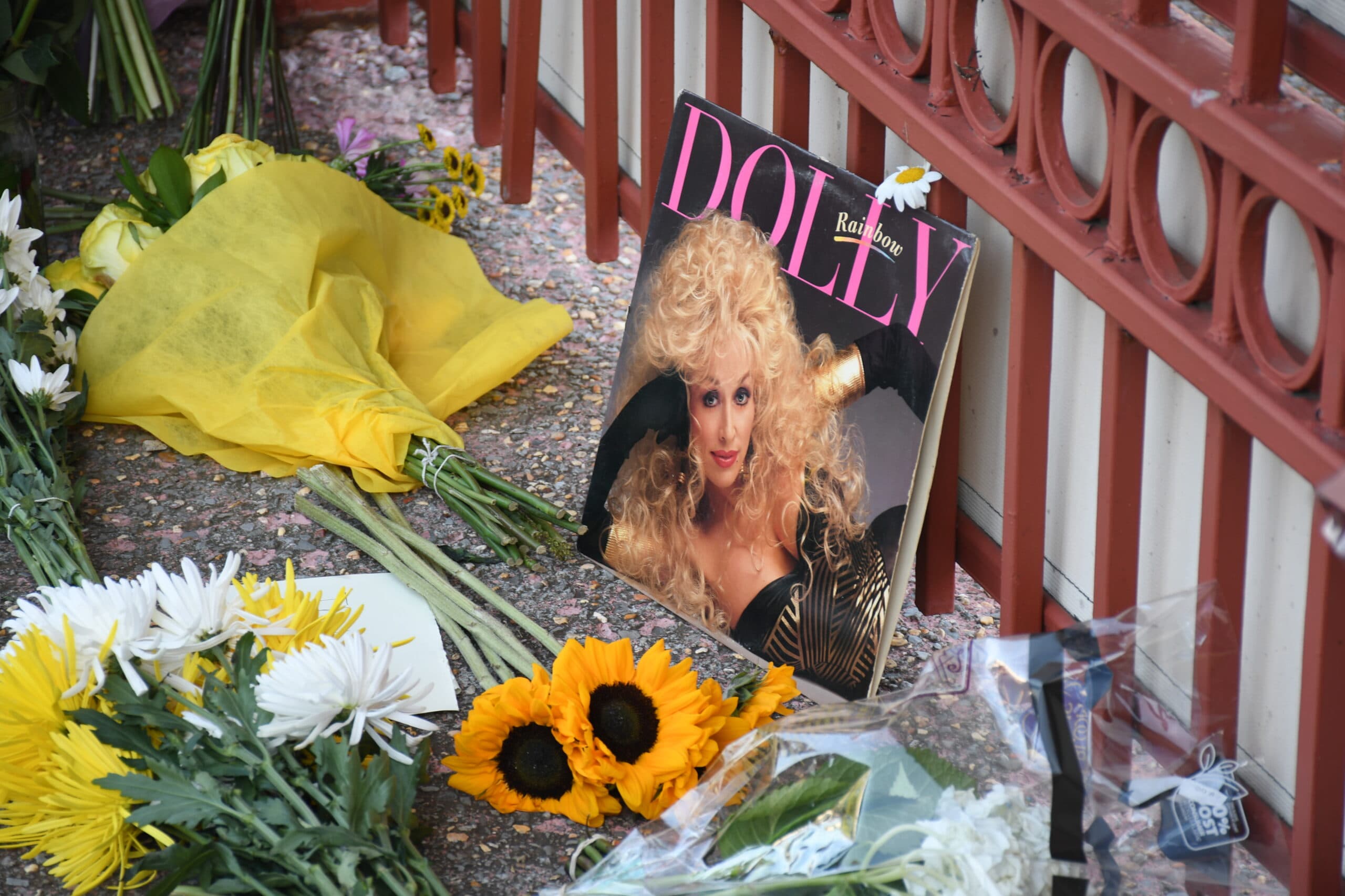 Push to Rename BNA Airport After Dolly Parton Gains Momentum